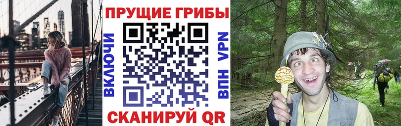 кракен ссылки  купить наркоту  Северобайкальск  Псилоцибиновые грибы ЛСД 